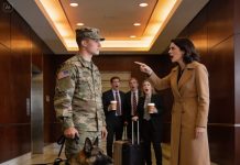 She laughed at the scarred old dog limping beside the quiet man, calling it useless, broken, a burden. The café joined in. What she never imagined was that the “dog” wore more decorations than most soldiers—and that his handler had once commanded operations that changed maps. By nightfall, her careless mockery would collide with a mission still very much alive.