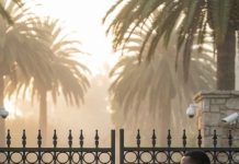 My own biological father once told me, “You’re nothing but a stupid mistake from my past… take that pregnancy and get out!” Nine years later, security called me: “Ma’am, your parents are at the gate of your estate.” I smiled and said…